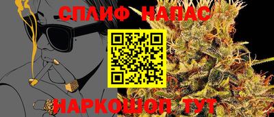 МДМА Гатчина