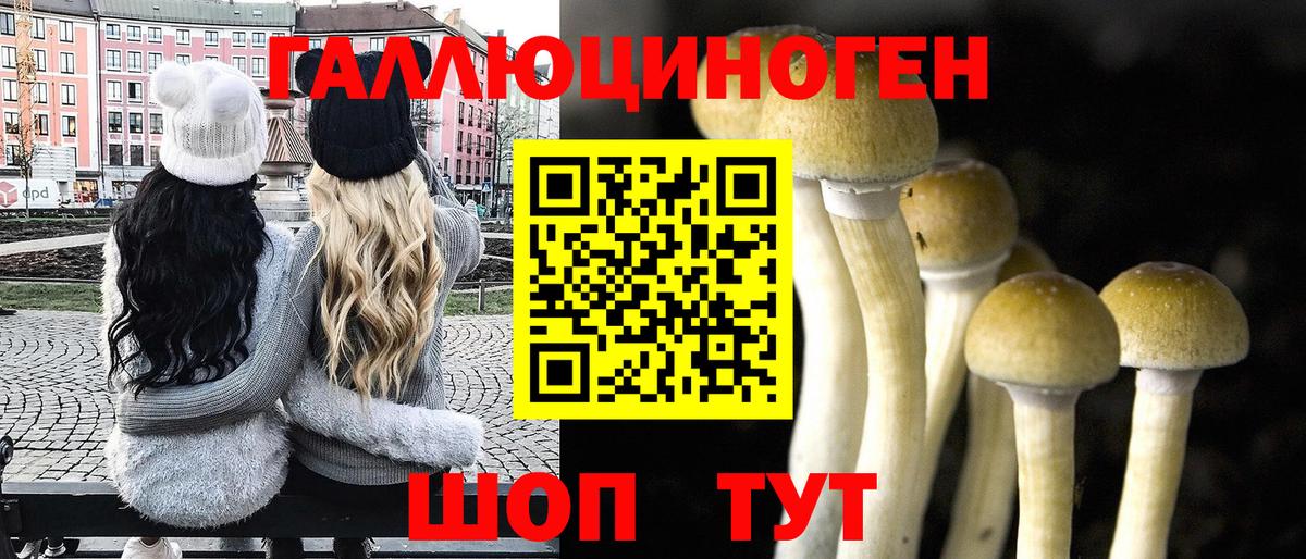 Псилоцибиновые грибы GOLDEN TEACHER Нижнекамск